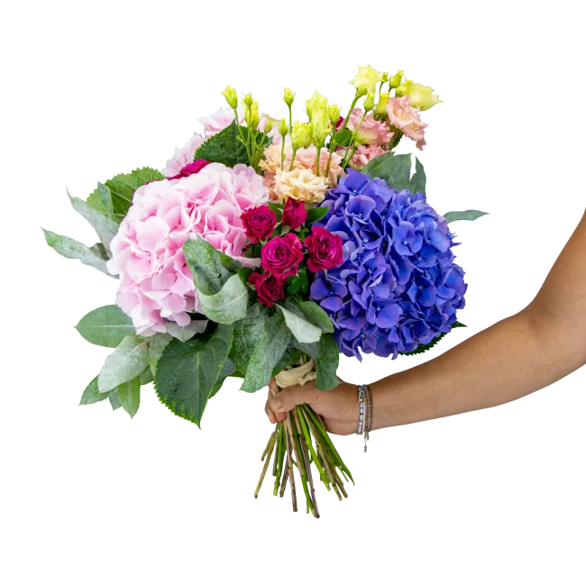 Bouquet of Hydrangeas and Spray Roses